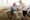 Caregiver assisting elderly man in wheelchair, emphasizing compassionate in-home healthcare support and dignity.